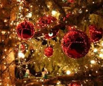 YILBAŞINA ÖZEL GÜMÜLCİNE DE TAVERNA TURU 31.12.2025 - 01.01.2026